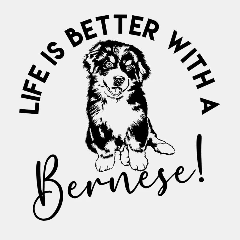 Bouvier bernois