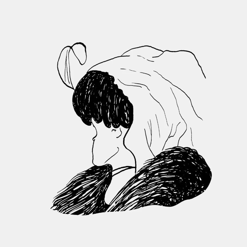 täschung alte dame oder junge frau