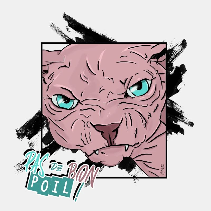 Pas Content | Sphynx_01