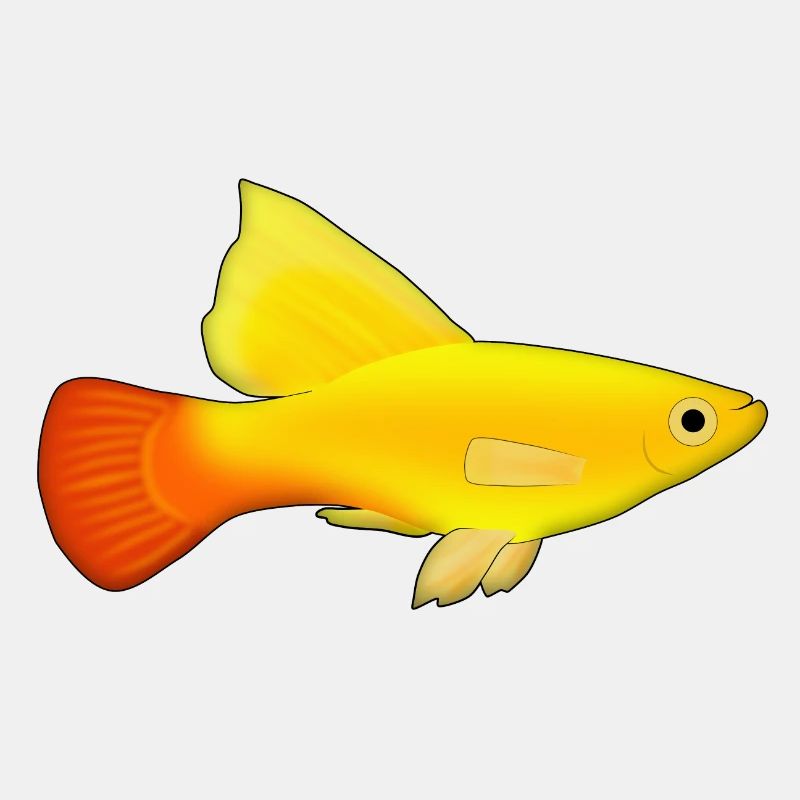 Papageienplaty