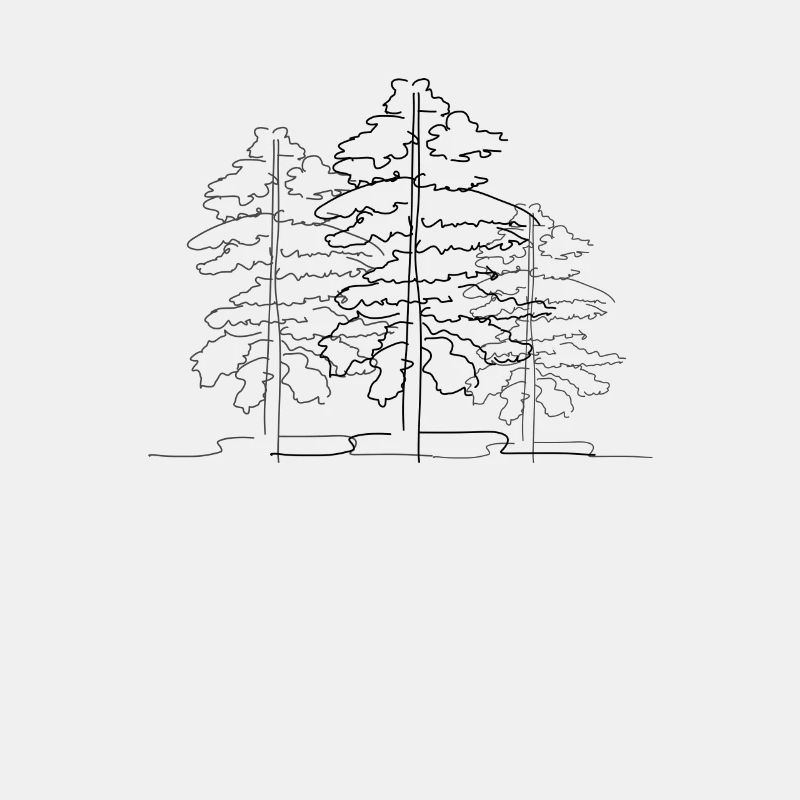 Tree Forest Lineart