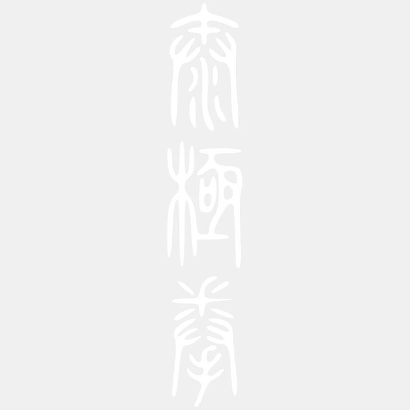 taiji schrift II