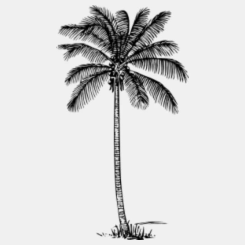 palm
