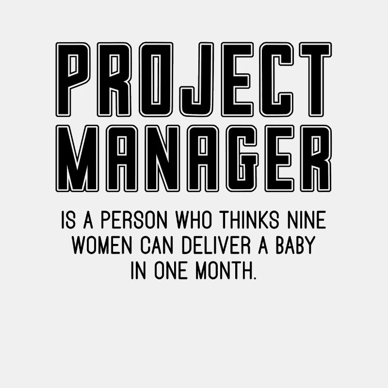 Project Manager Is A Profession Project Managers