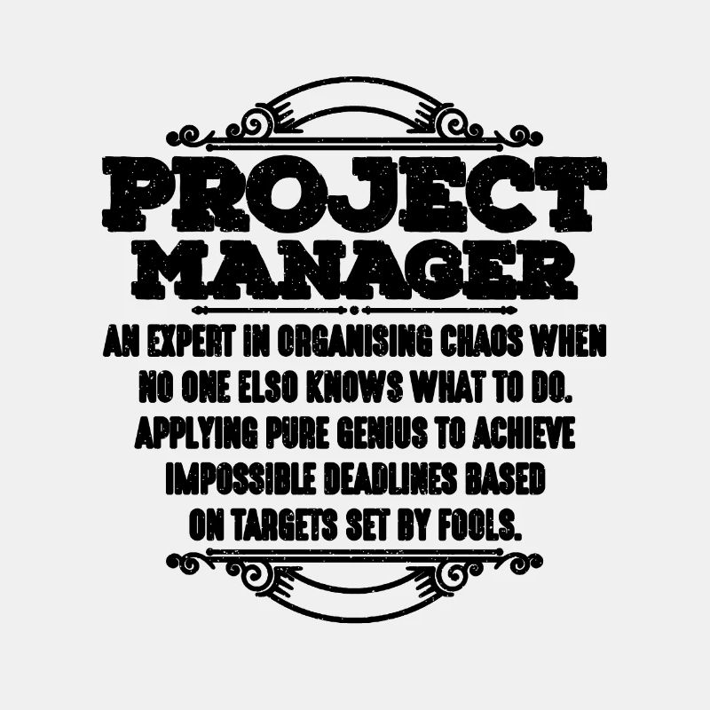 Project Manager An Expert In Project Team Leader