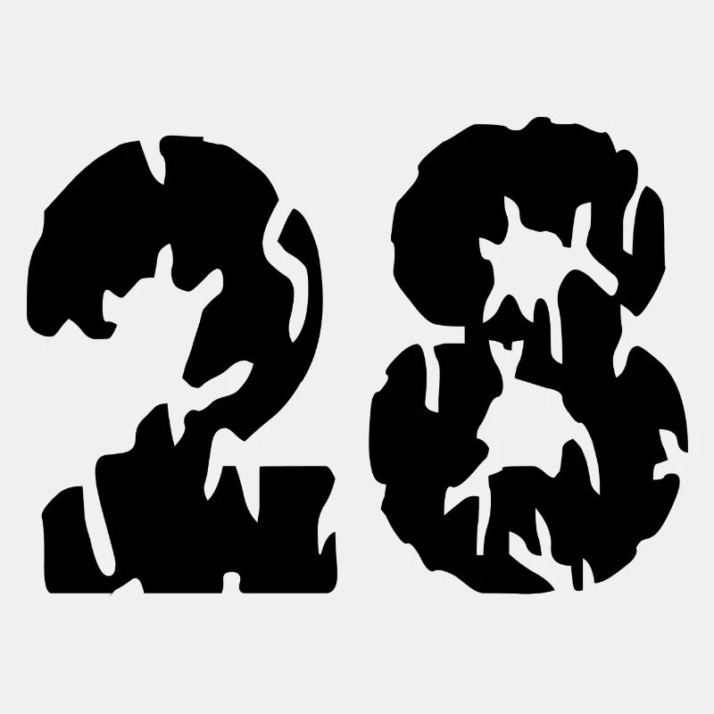 Maillot 28 numéro