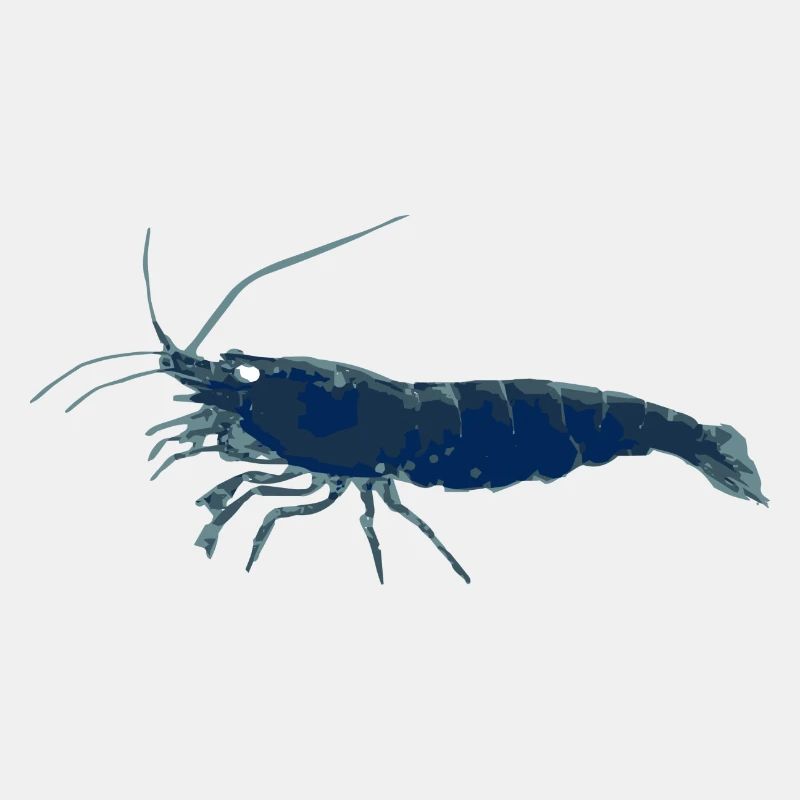 Garnele Blau