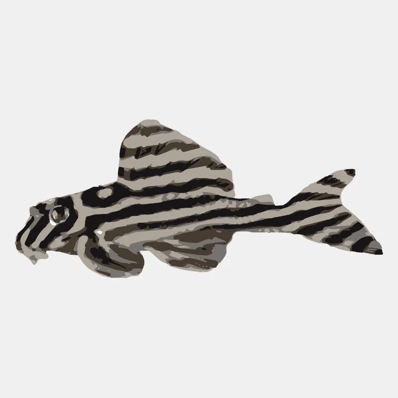 Zebrawels (L46)