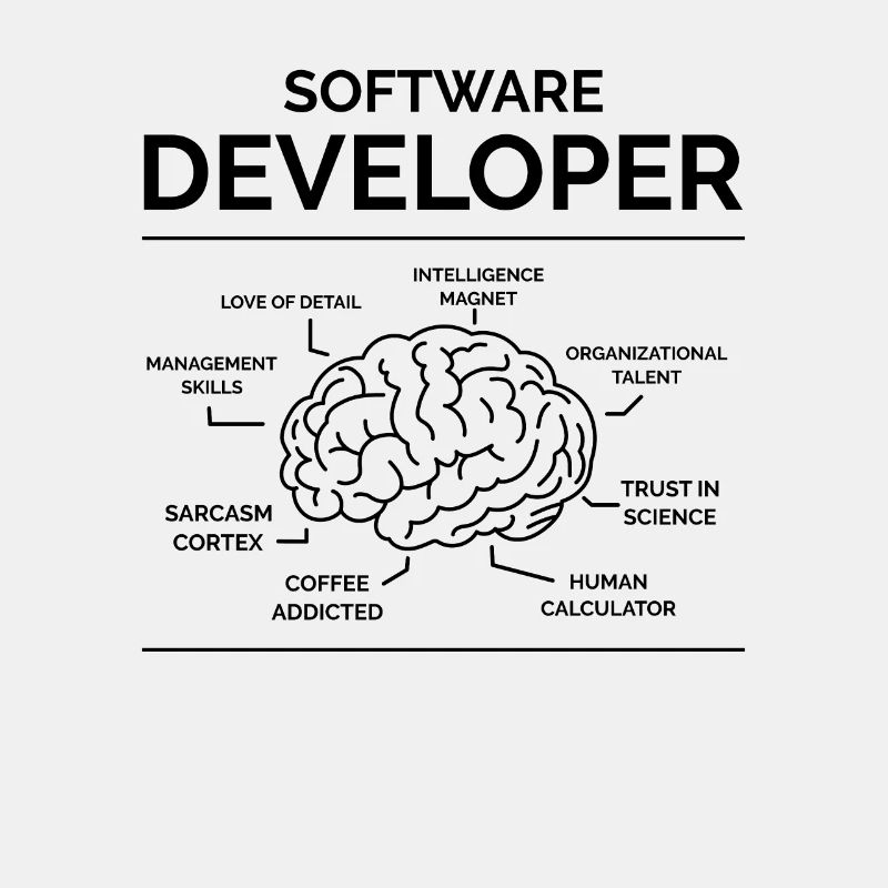 Software Entwickler
