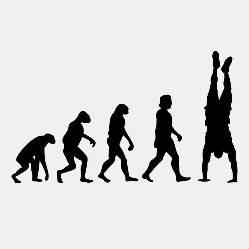 Evolution du renversé