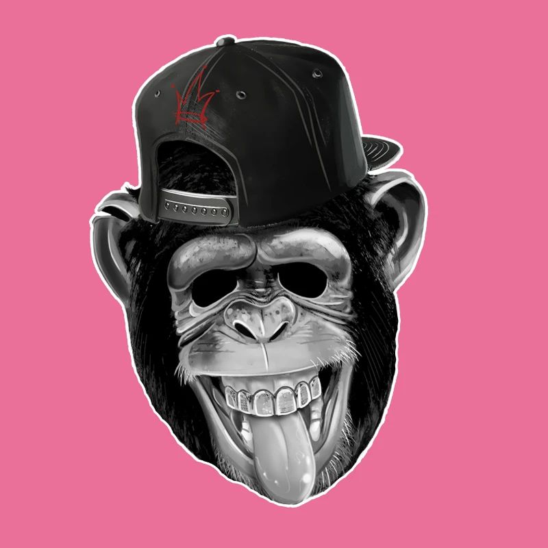 Cool monkey