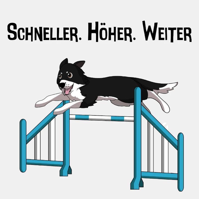 Border Collie Agility