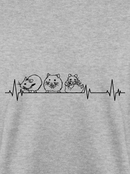 Hamster Nager Haustiere Goldhamster