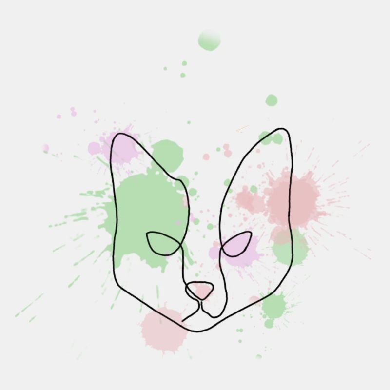 Splash Cat