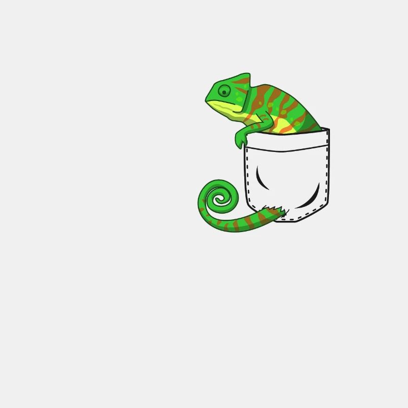 Chameleon reptile gift