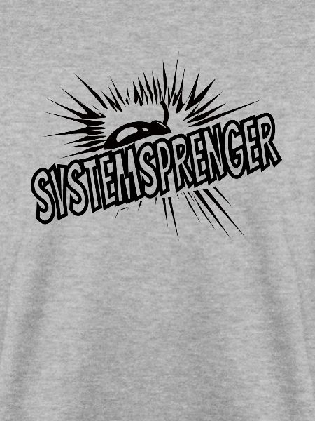 System-Sprenger Systemsprenger