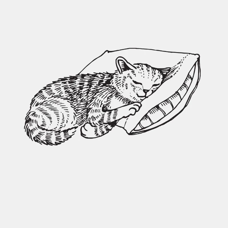 Cat sleeping pillow