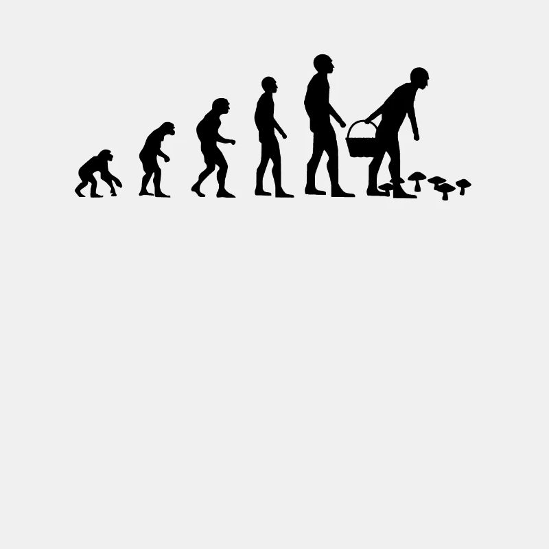 Les champignons collectent le cadeau de sélection de champignons Evolution Mushroom