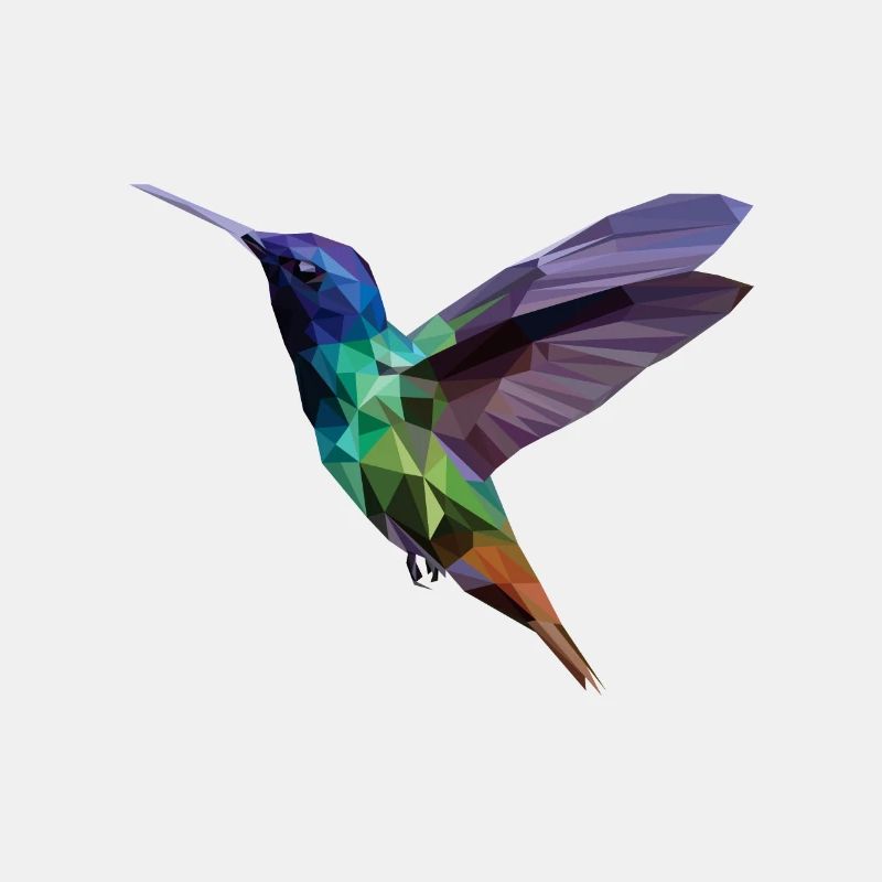 Oiseau polygone