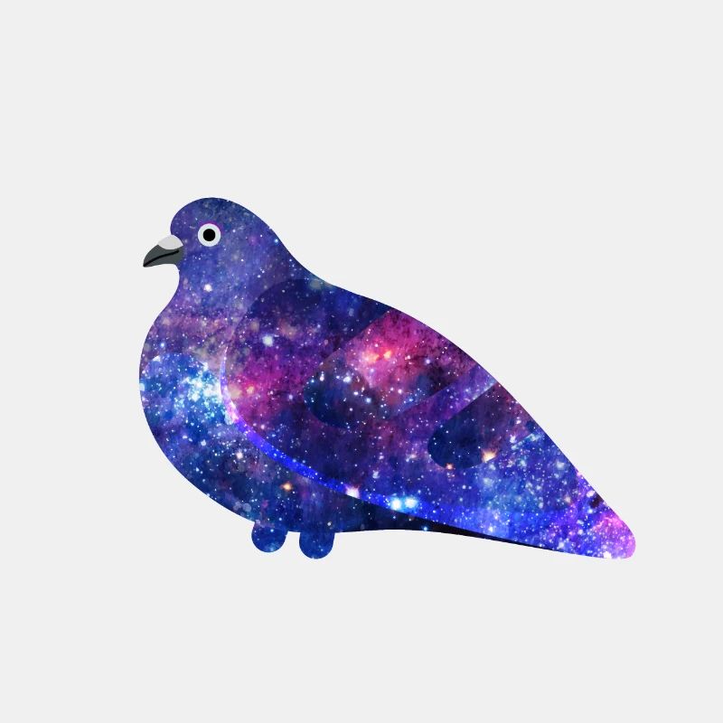 Galaxy Pigeon Friend