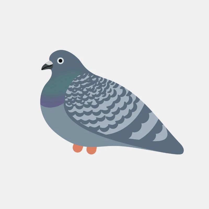 Cookie Pigeon Friend
