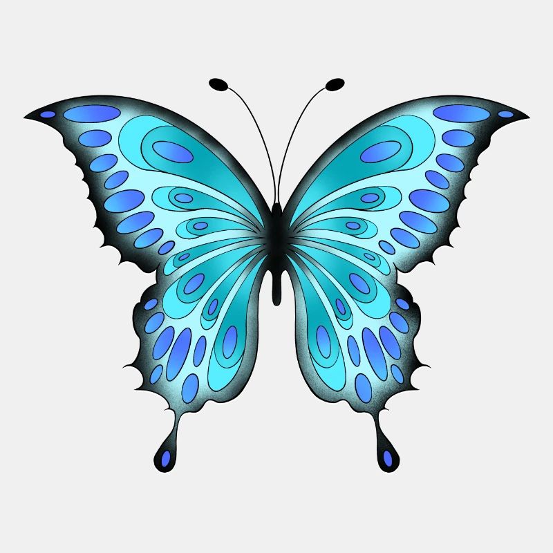 Papillon