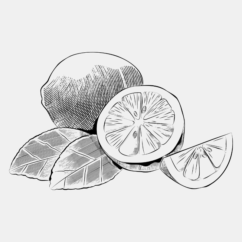 LEMON LIMETTEN SOMMER