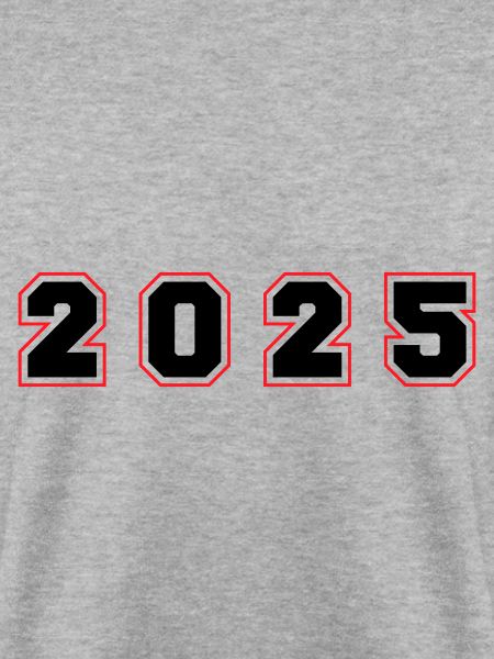 2025 Year Number