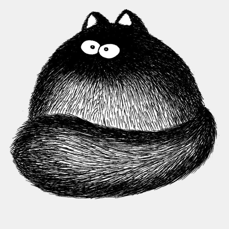 Chat moelleux