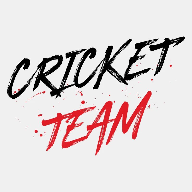Équipe de cricket