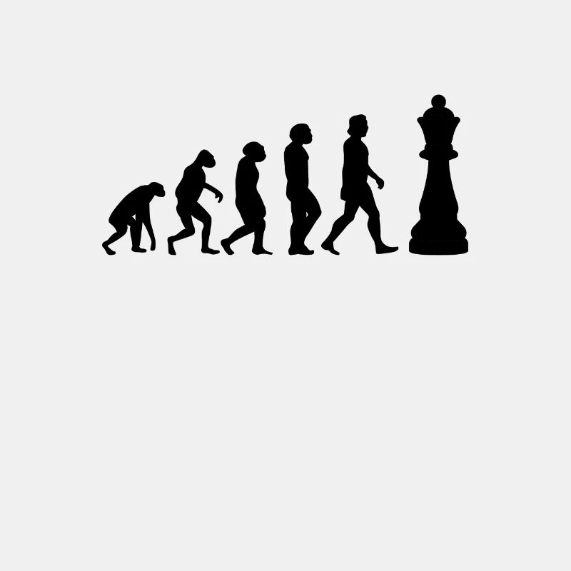 ÉCHECS JEU D’ÉCHECS Chess Evolution