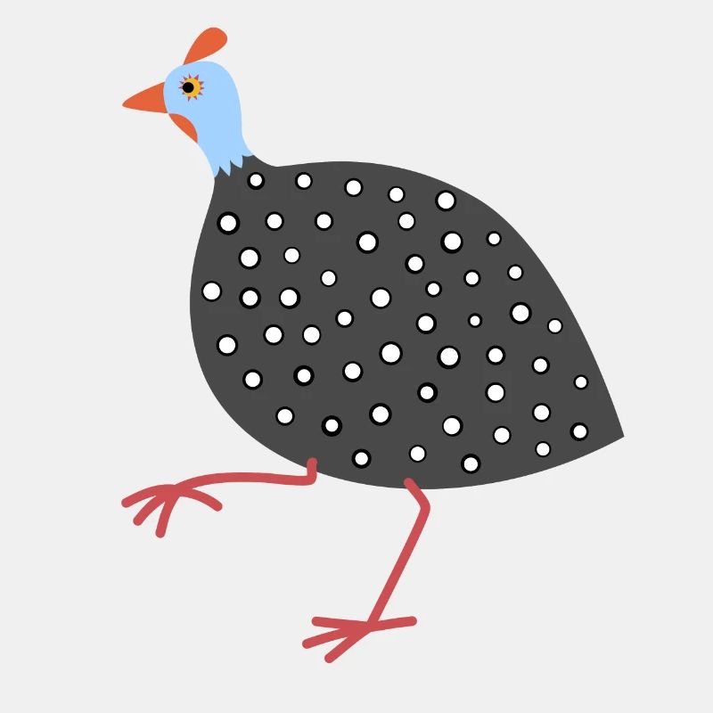 Perlhuhn 3