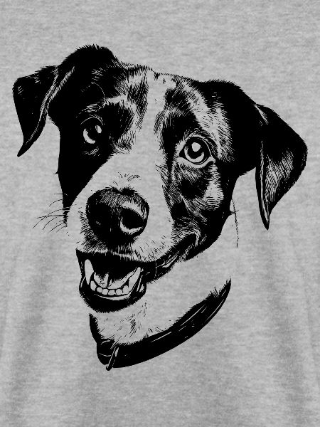 Jack Russel Terrier