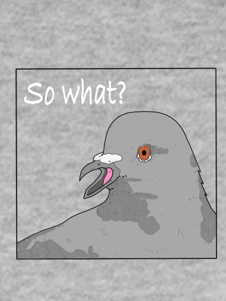 Pigeon - So what