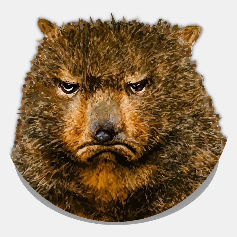 Quokka Lustig Verärgert