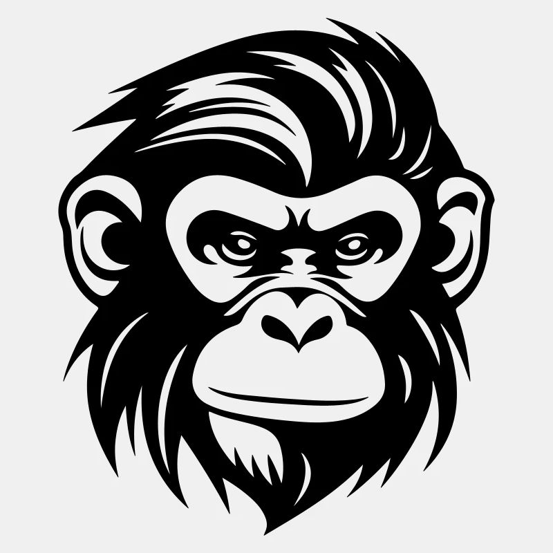 Tête de singe