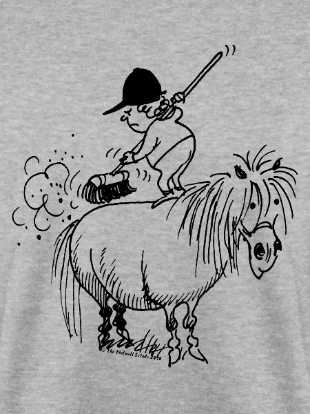 Thelwell Cartoon Spring-Cleaning
