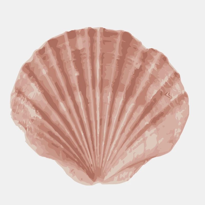 shell