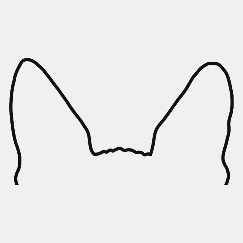 Sphynx Ohren