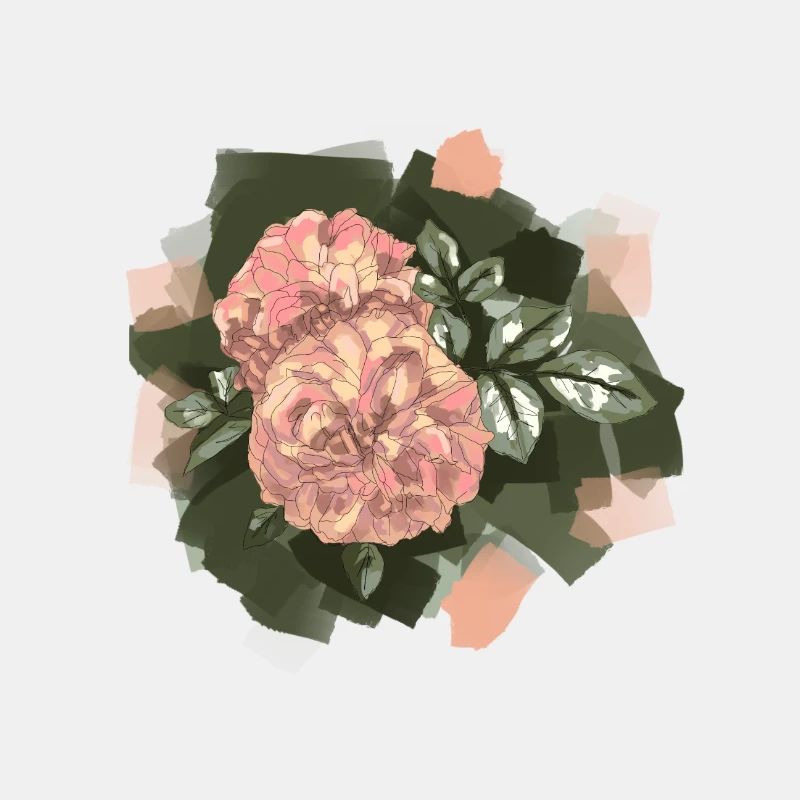 Rose 1