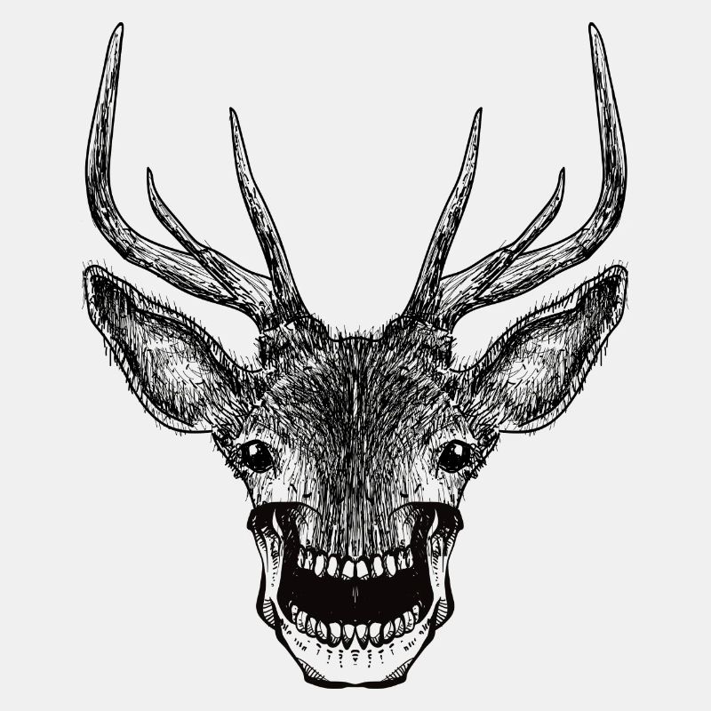Deer Skull