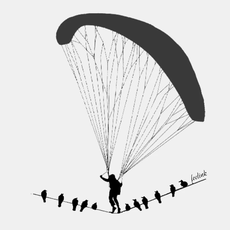 Gleitschirm paragliding vögel Vogel