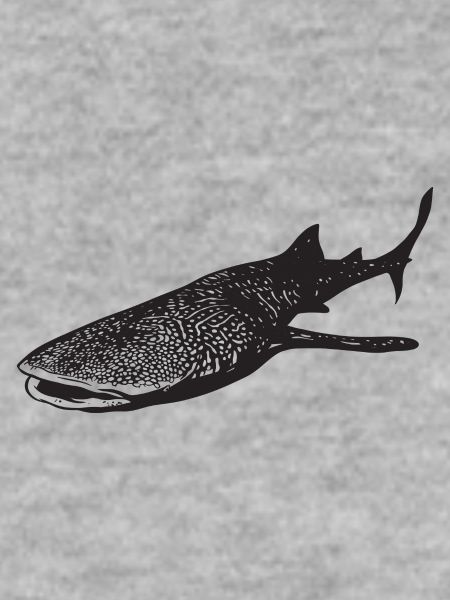 Whaleshark