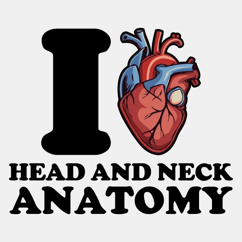 Ich liebe Kopf-Hals-Anatomie
