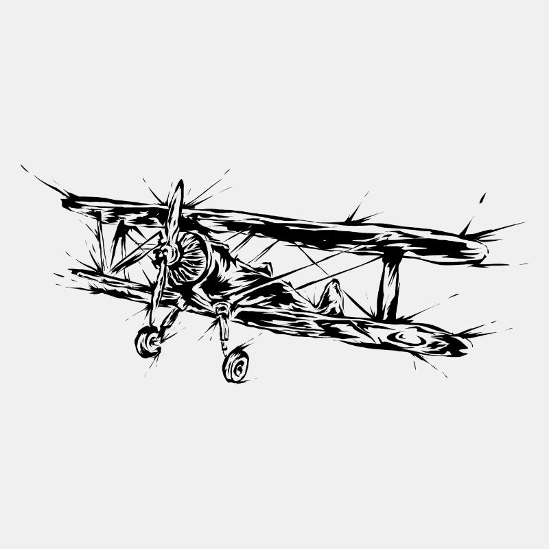 Flugzeug Pilot