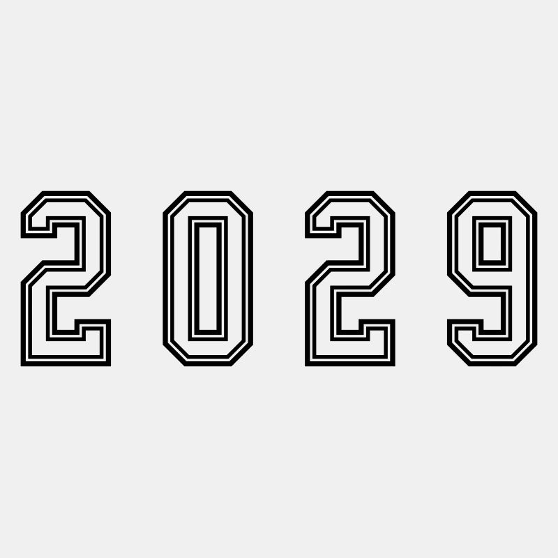 2029 Jahr Zahl