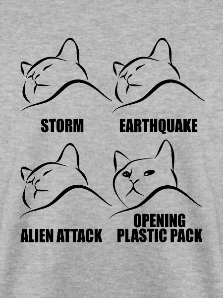 Katze - selektive Wahrnehmung - Spruch