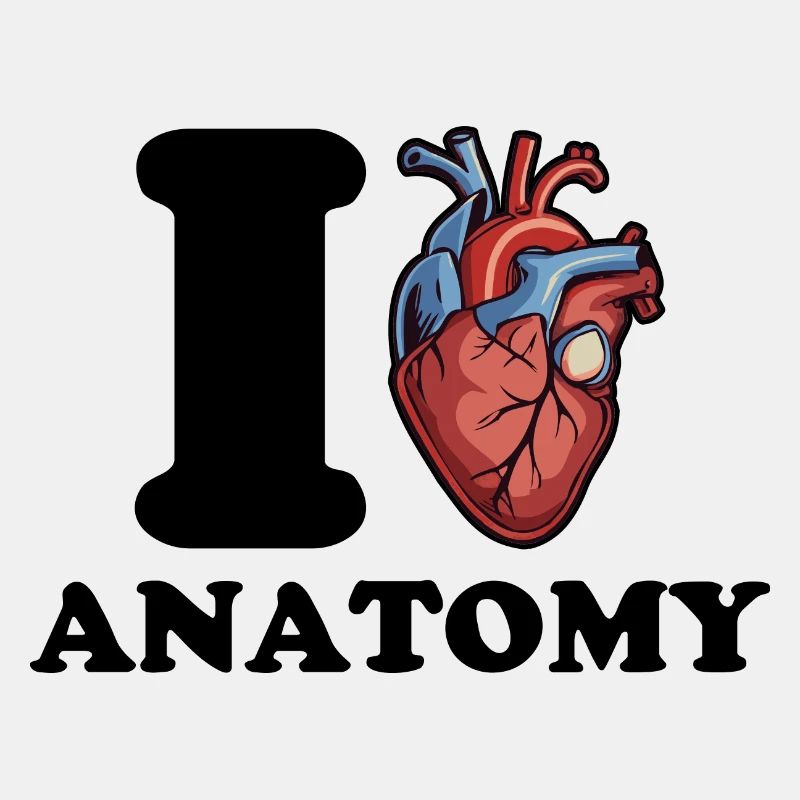 J’adore l’anatomie