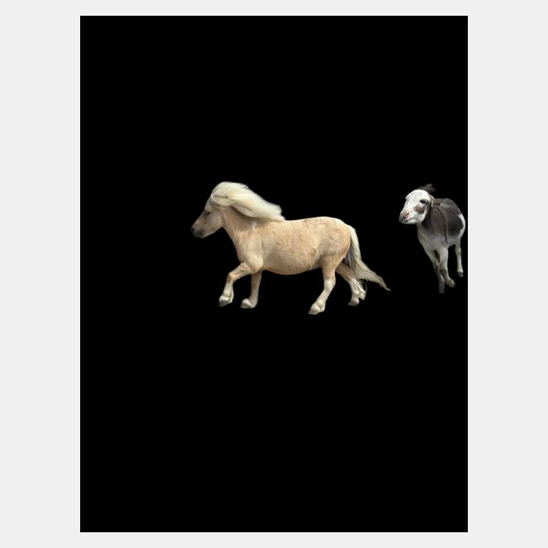 Pony