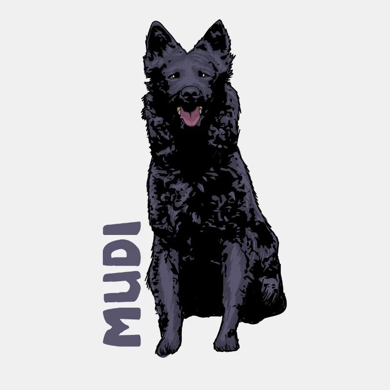 Mudi